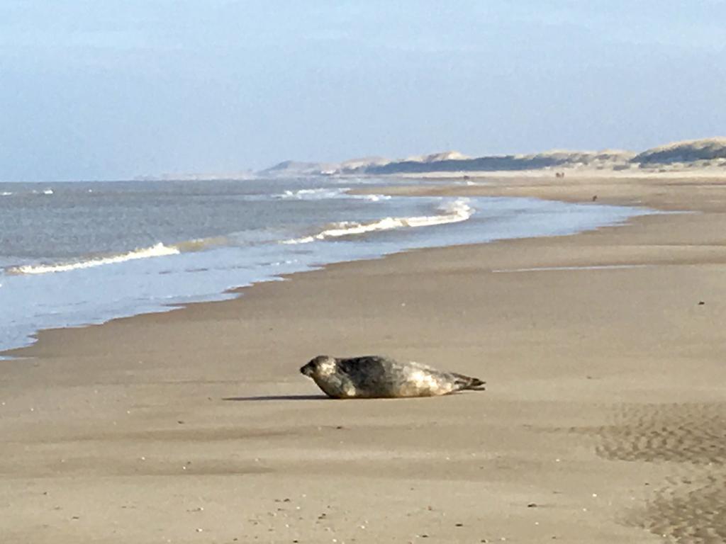 Hotel Prins Maurits Bergen aan Zee Dış mekan fotoğraf